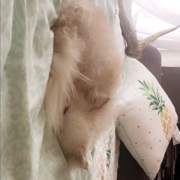 Meet your Posher, Alejandra - Picture 1 of 1